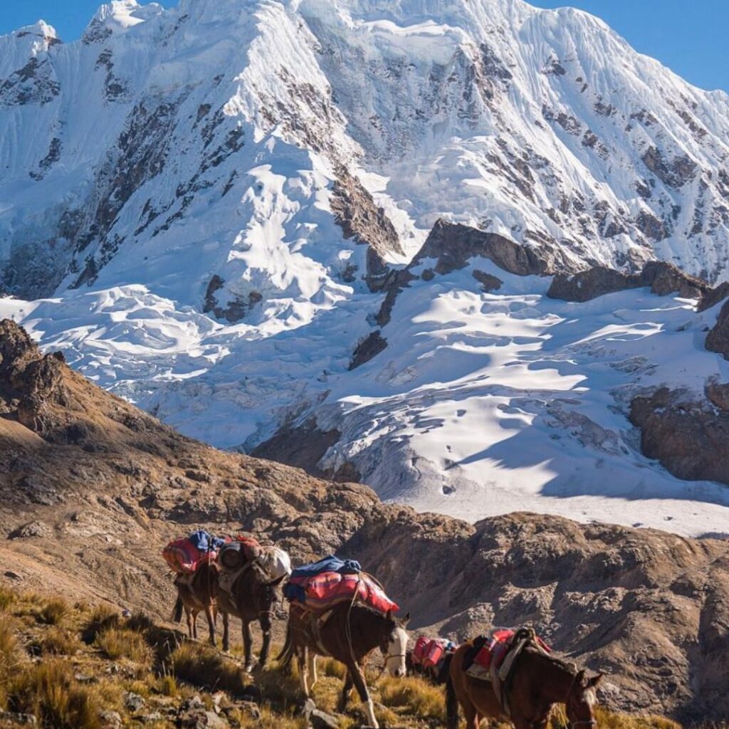 salkantay trek tours