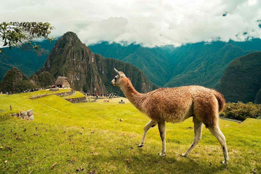 Machu Picchu