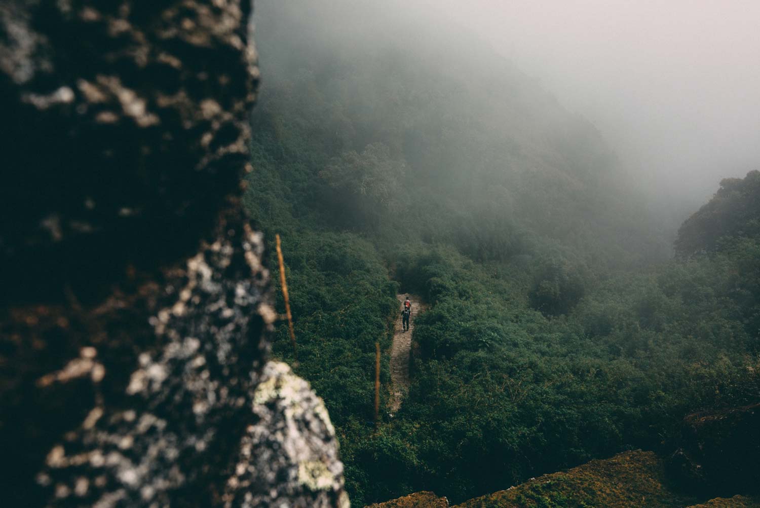 Inca Jungle