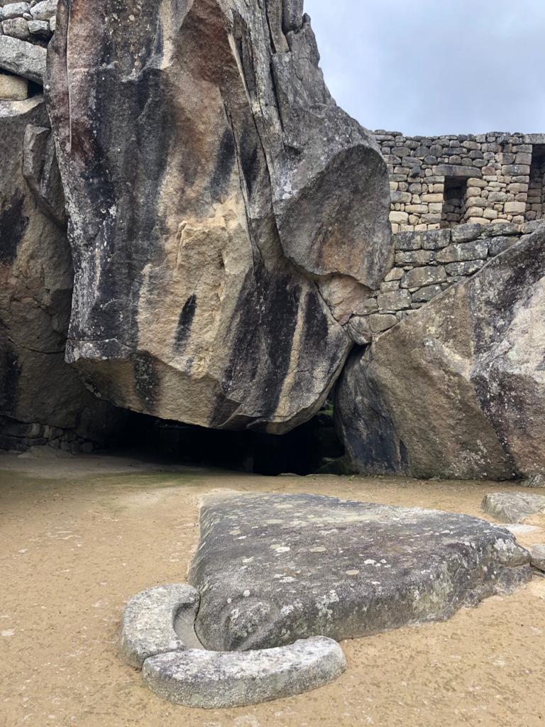 Condor en Machu Picchu