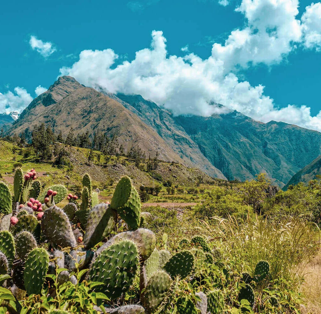 Inca Trail 4 Days Hike - day 1