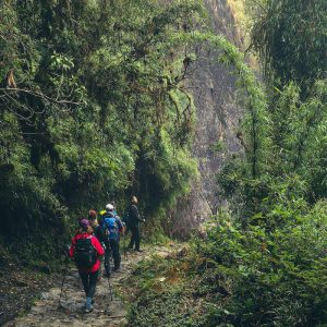 The Inca Trail in the jungle