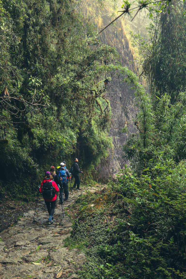 The Inca Trail in the jungle