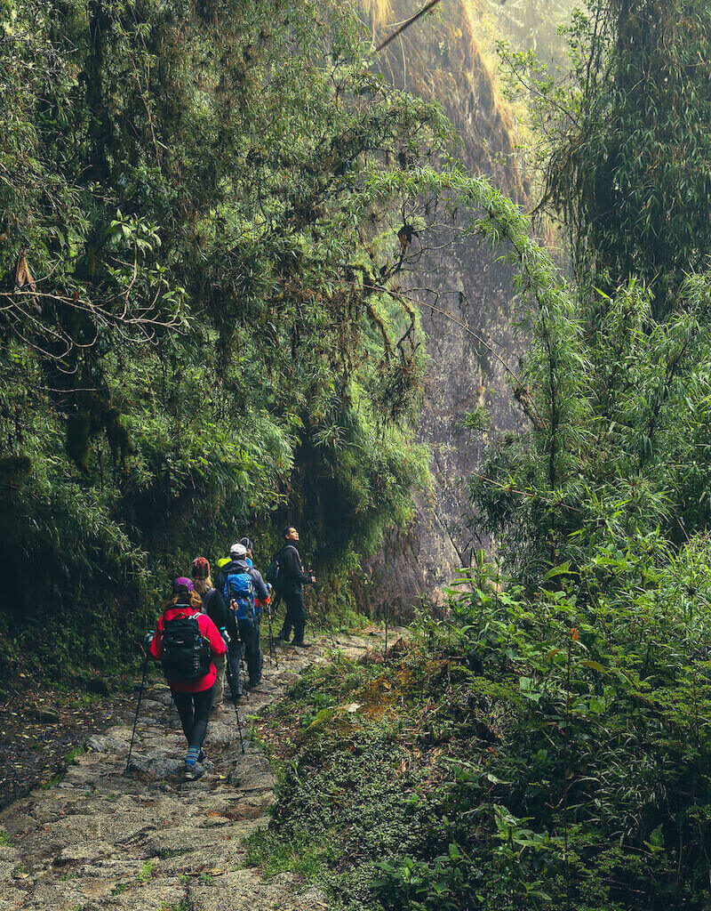 The Inca Trail in the jungle