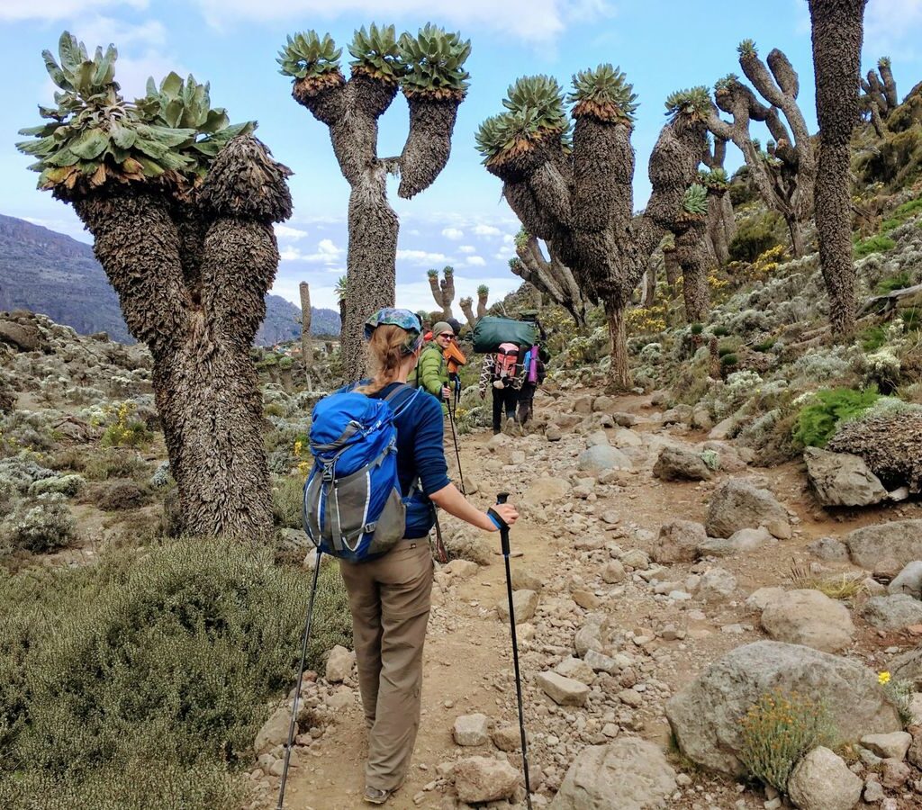 Inca Trail vs Kilimanjaro