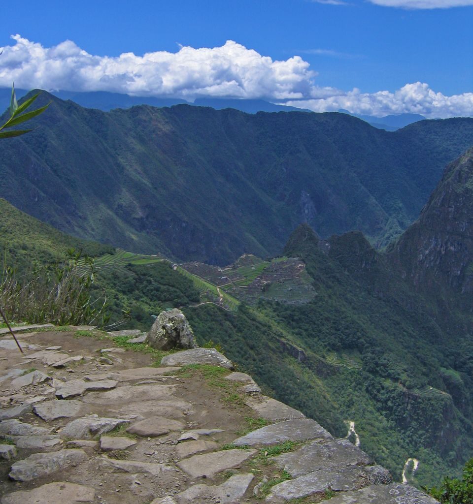Inca Trail Wildlife