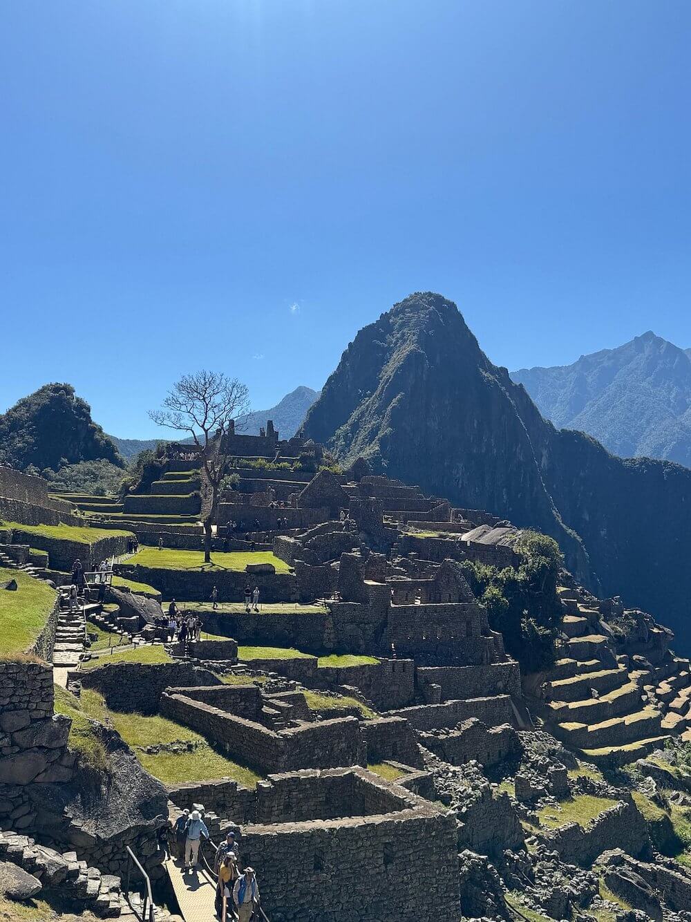 Foto de reseña